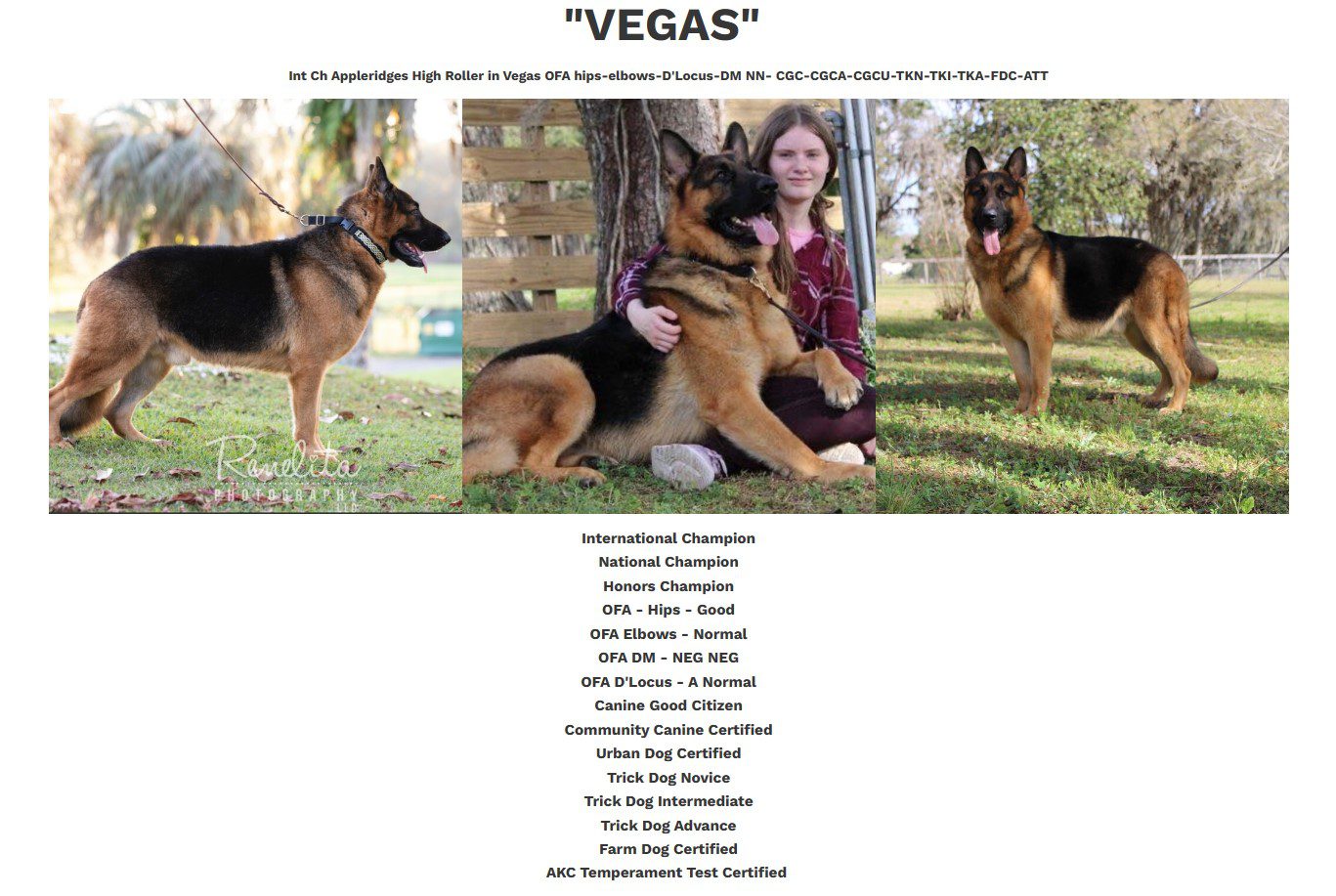 Screenshot-2023-10-30-Vegas-main-profile-page.jpg